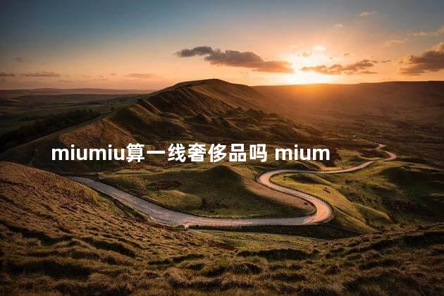 miumiu算一线奢侈品吗 miumiu跟lv一个档次吗